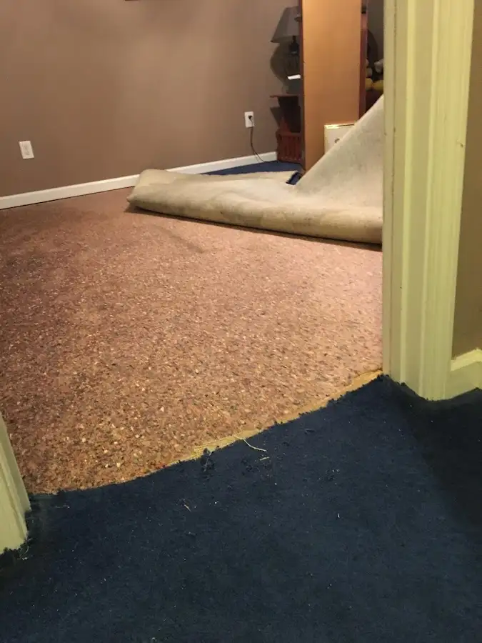 Carpet pad removal revealing water damage during Drying & Dehumidification in Lemay