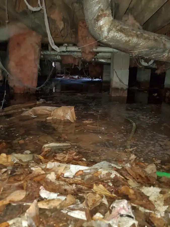 Crawl space flood assessment for Commercial Water Damage Restoration in Lemay