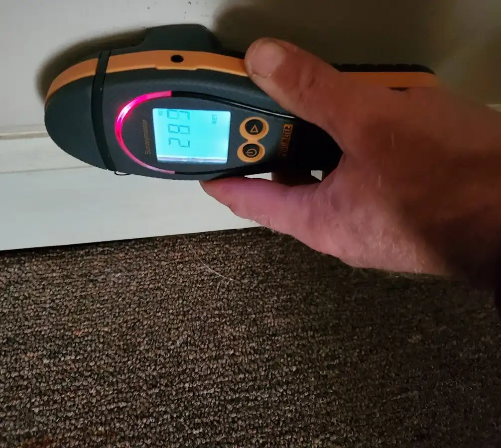 Moisture detection at baseboard during Burst Pipe Cleanup in Lemay